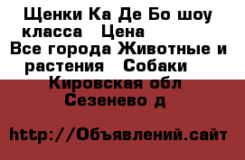 Щенки Ка Де Бо шоу класса › Цена ­ 60 000 - Все города Животные и растения » Собаки   . Кировская обл.,Сезенево д.